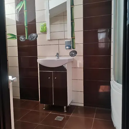 Casa Razvan 게스트하우스 4*