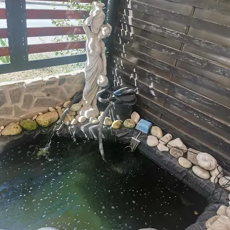 게스트하우스 Casa Razvan 4*