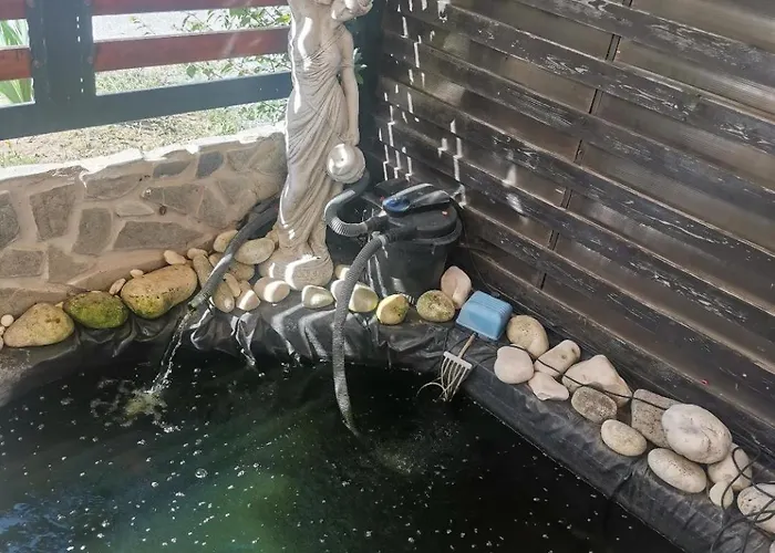 게스트하우스 Casa Razvan 4*