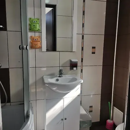 Casa Razvan Guest house