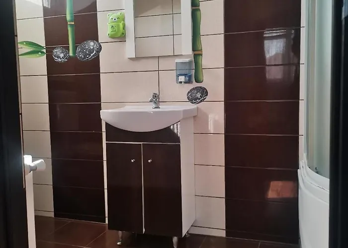 Casa Razvan Pensionat 4*