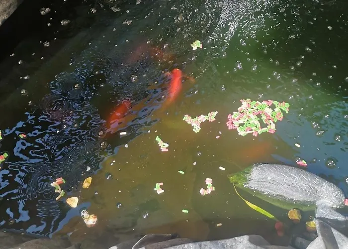 Pensionat Casa Razvan 4*